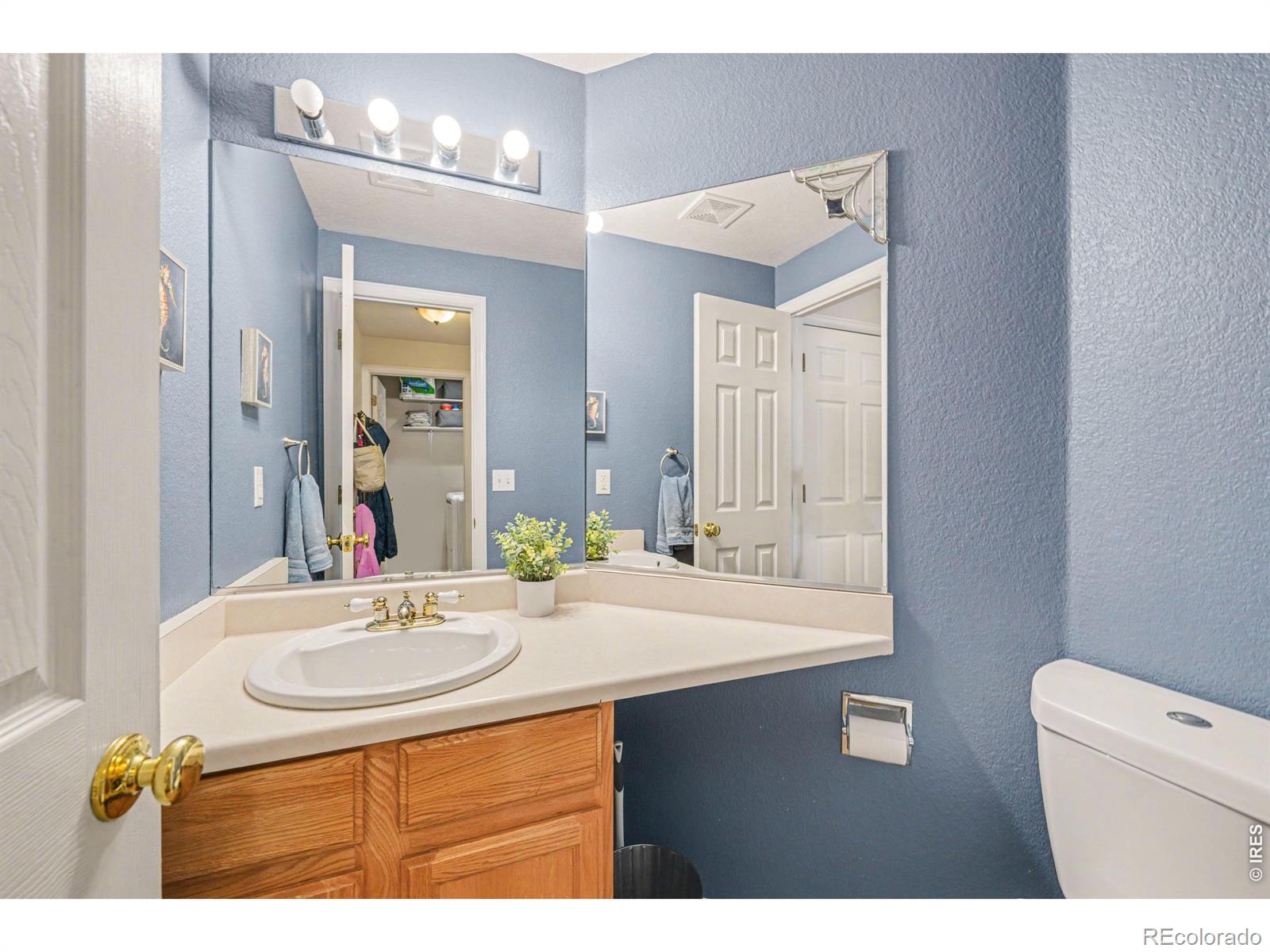 7039 Woodrow Drive Fort Collins CO 80525