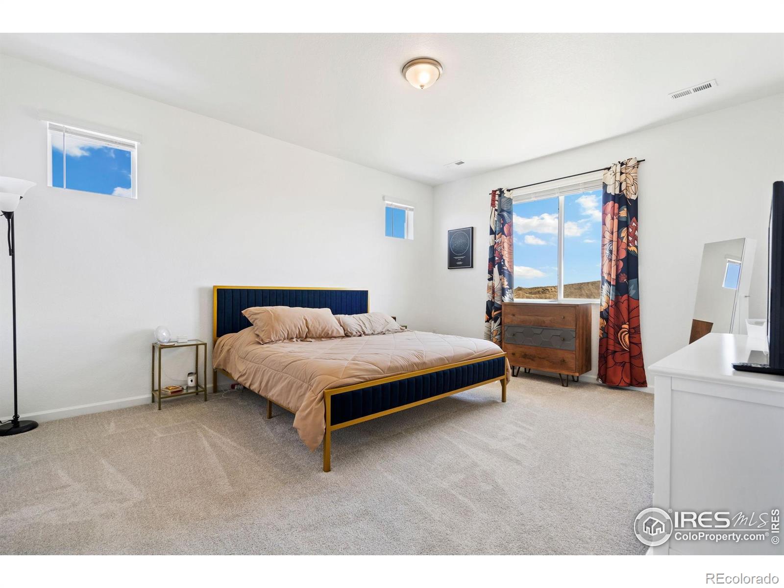 2486 White Pelican Avenue Loveland CO 80538
