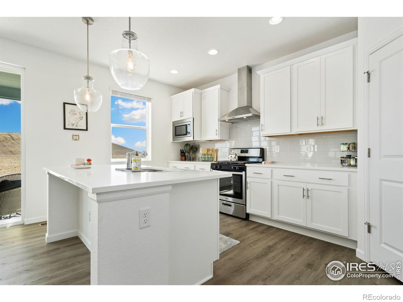 2486 White Pelican Avenue Loveland CO 80538