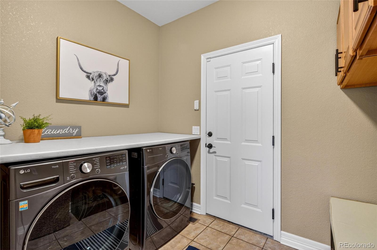 3646 Elk Run Drive Castle Rock CO 80109