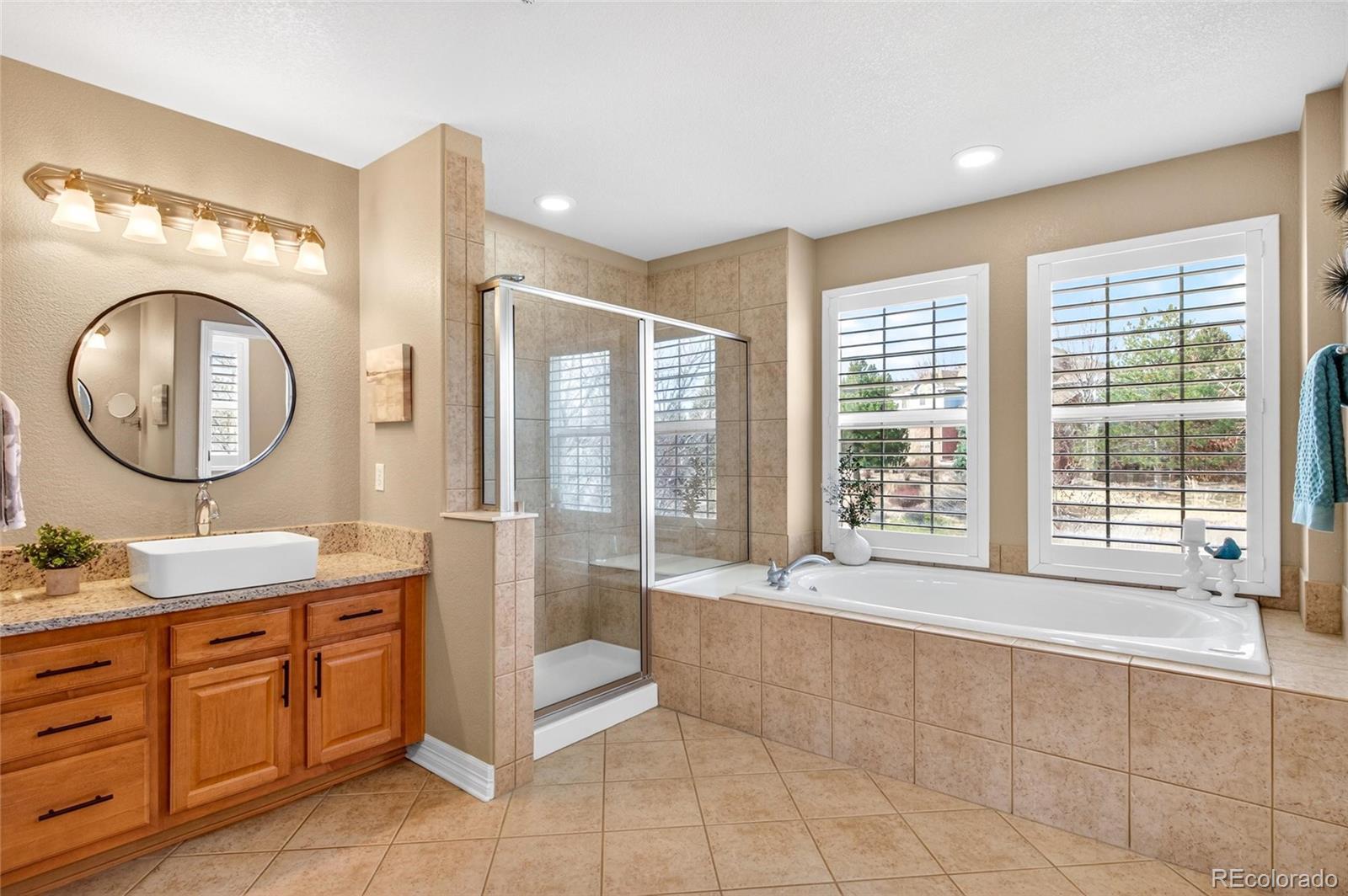 3646 Elk Run Drive Castle Rock CO 80109