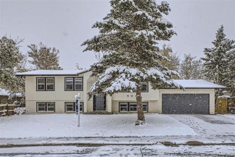 5044 Billings Street Denver CO 80239
