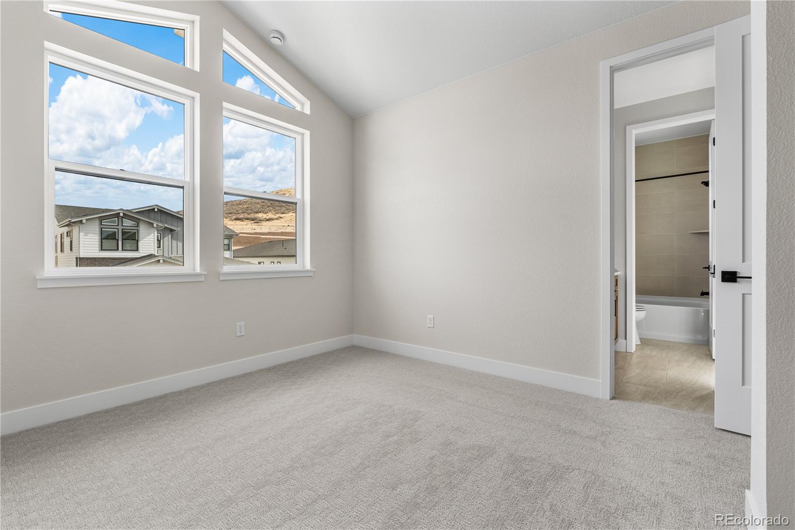 11133 Tenor Trail Lone Tree CO 80134