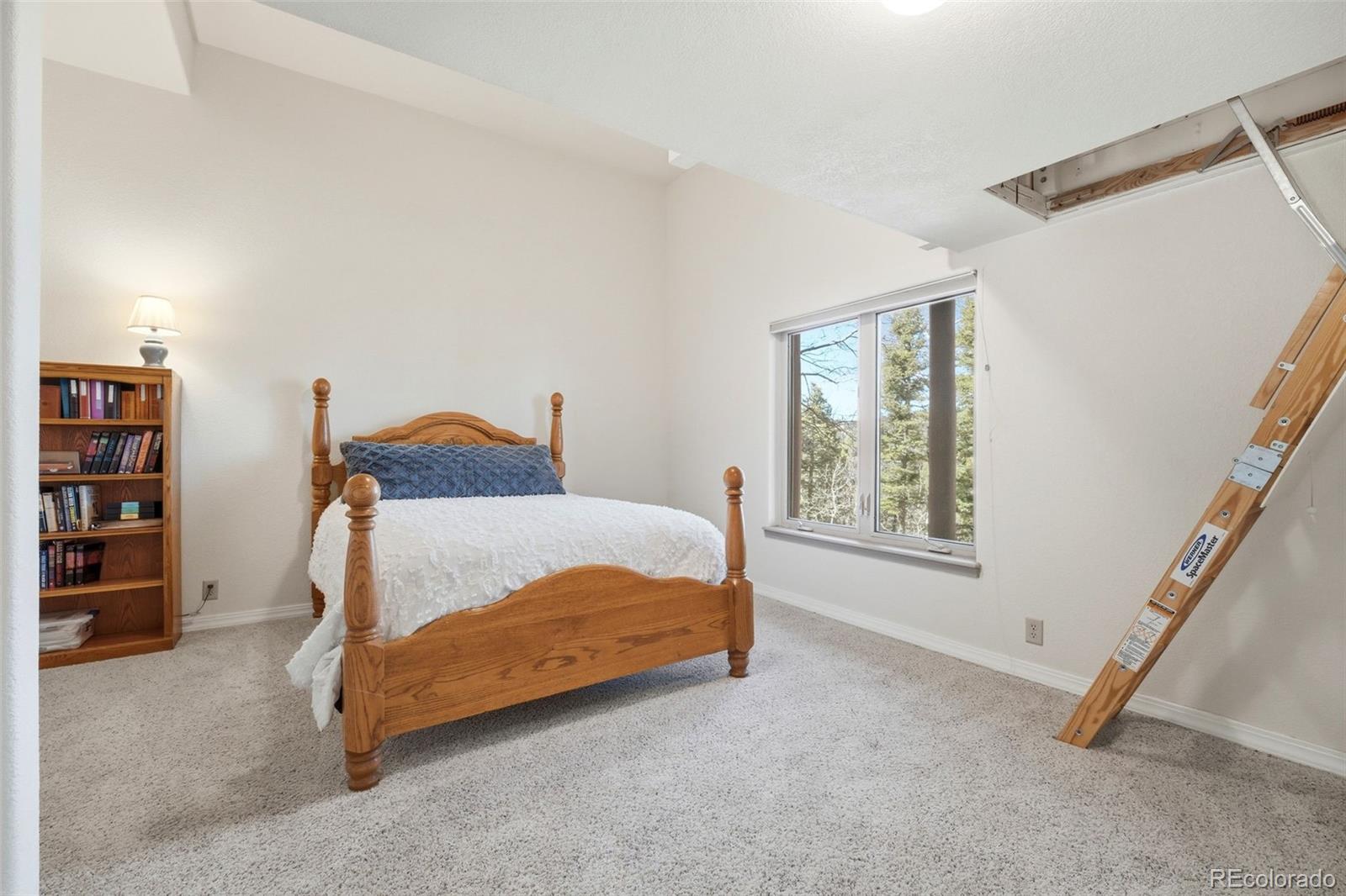 6070 Big Horn Road Manitou Springs CO 80829
