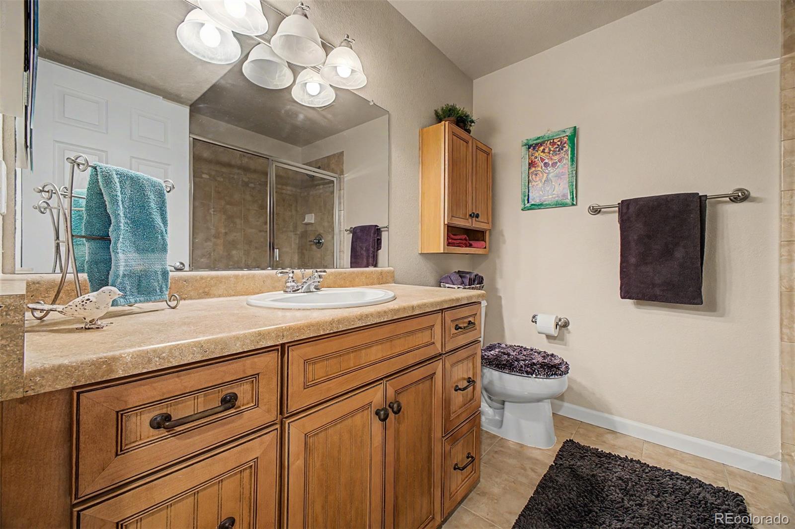 3343 Fantasy Place Castle Rock CO 80109