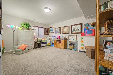 3343 Fantasy Place Castle Rock CO 80109