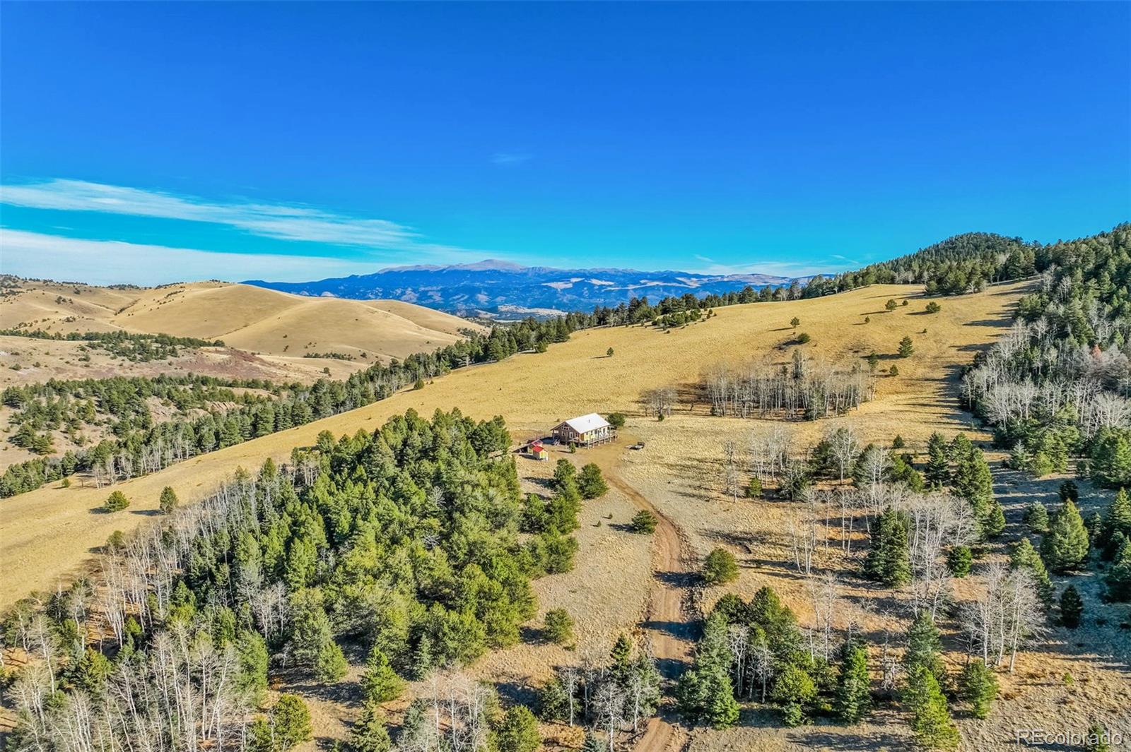 1440 N Range Road Guffey CO 80820
