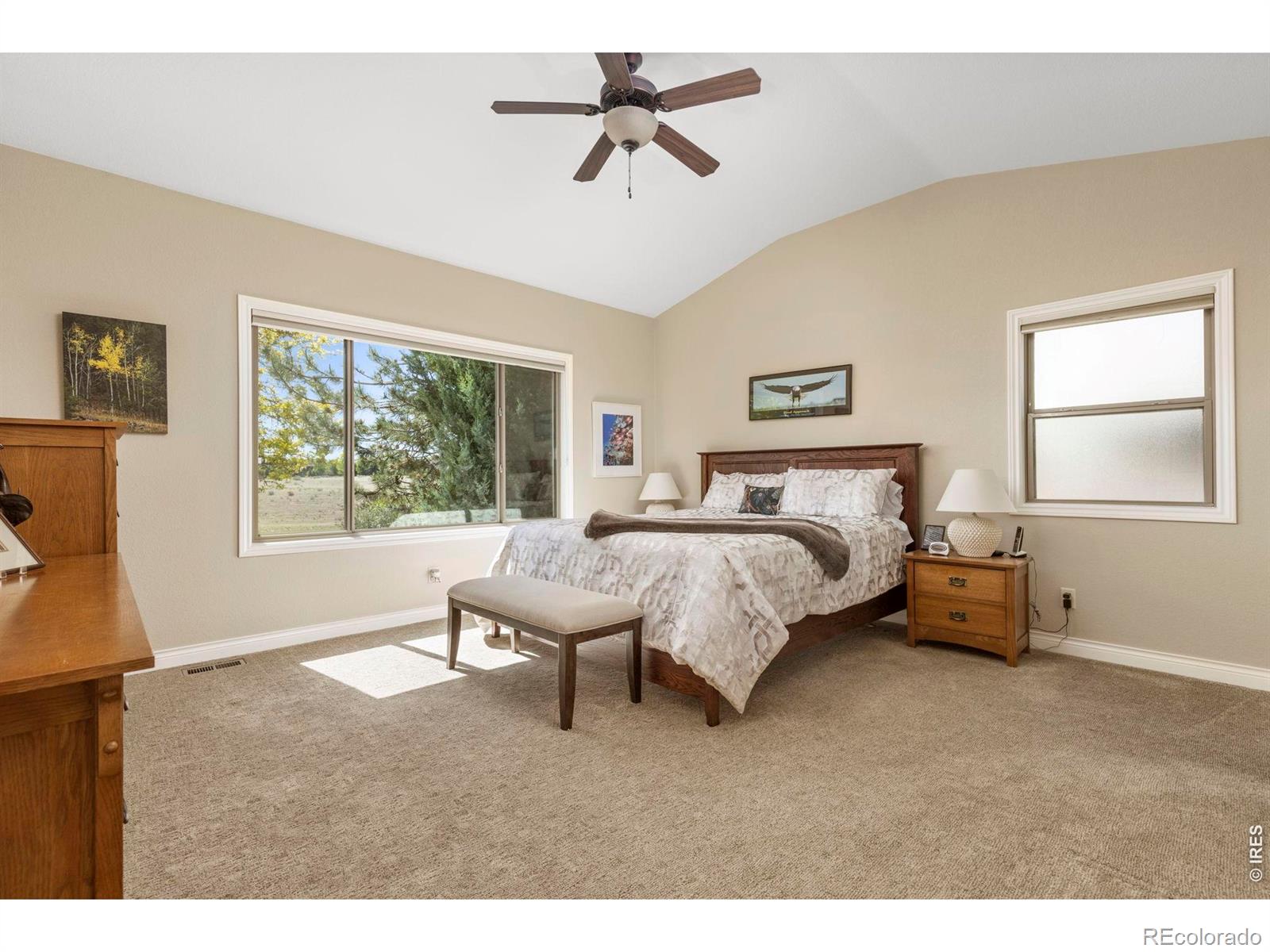 7023 Aladar Drive Windsor CO 80550