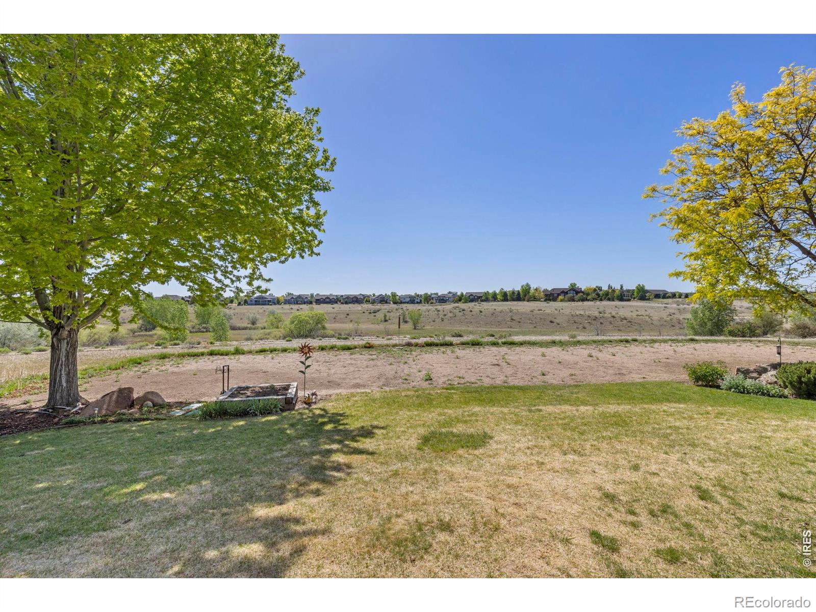 7023 Aladar Drive Windsor CO 80550