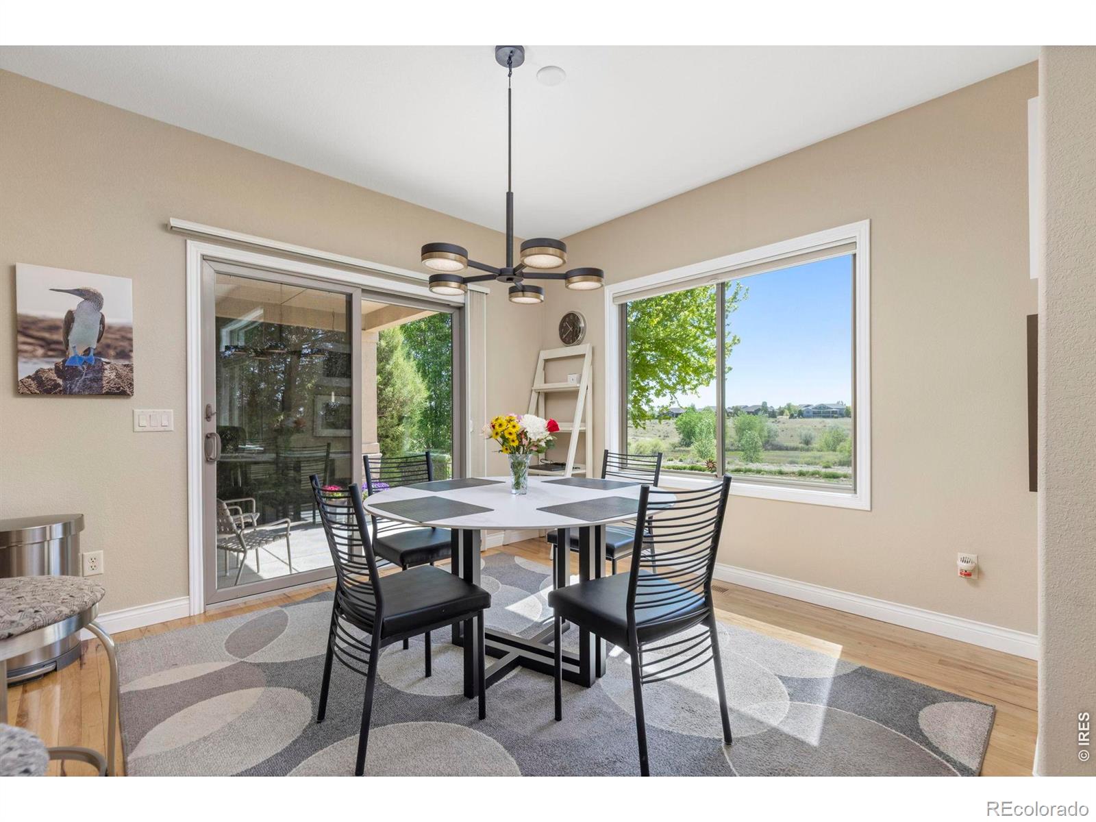 7023 Aladar Drive Windsor CO 80550