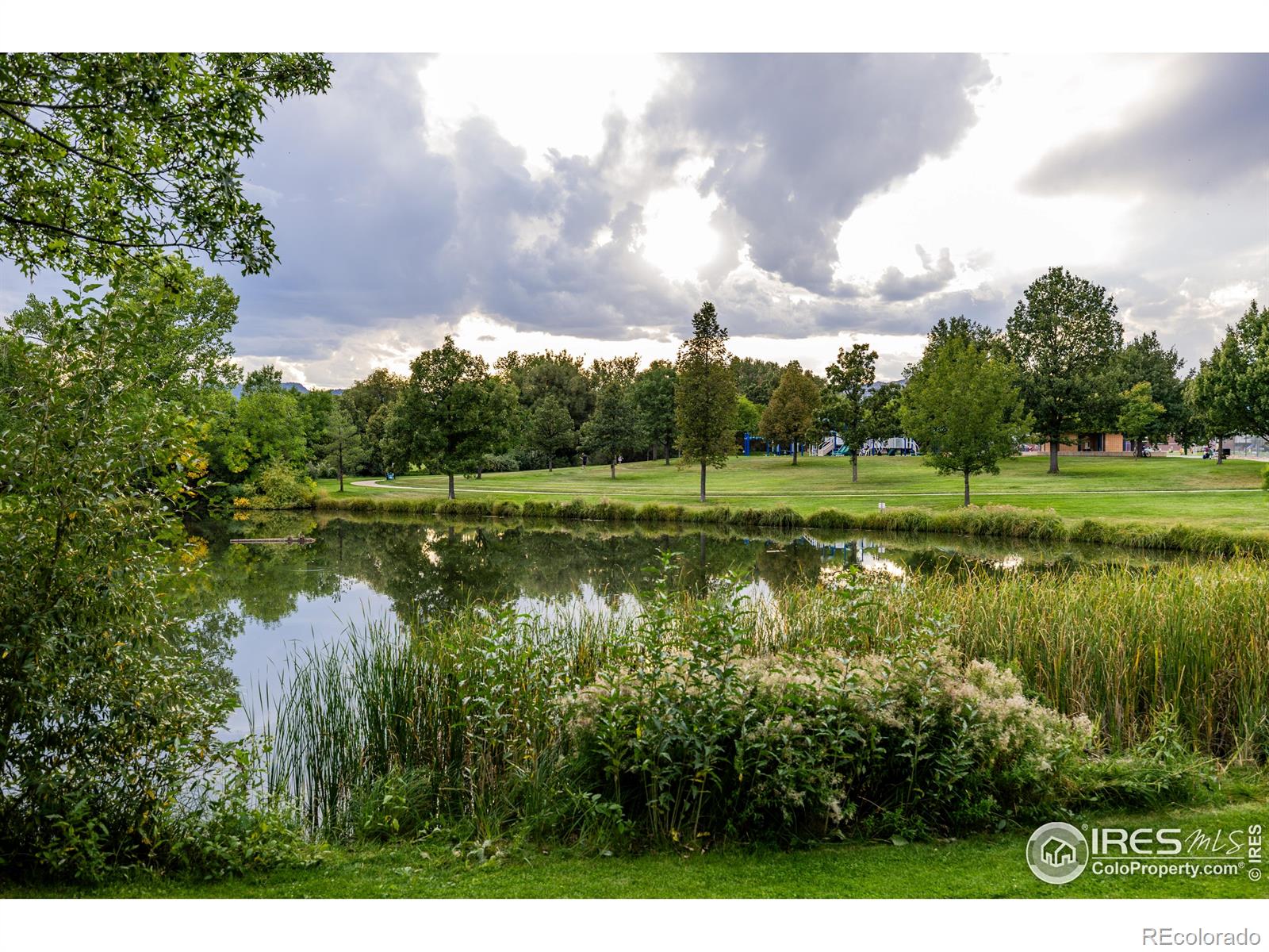 814 Arbor Avenue Fort Collins CO 80526
