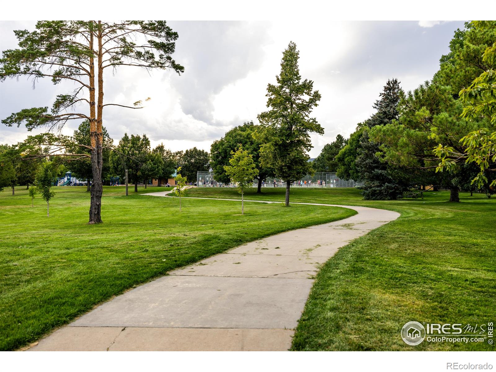 814 Arbor Avenue Fort Collins CO 80526