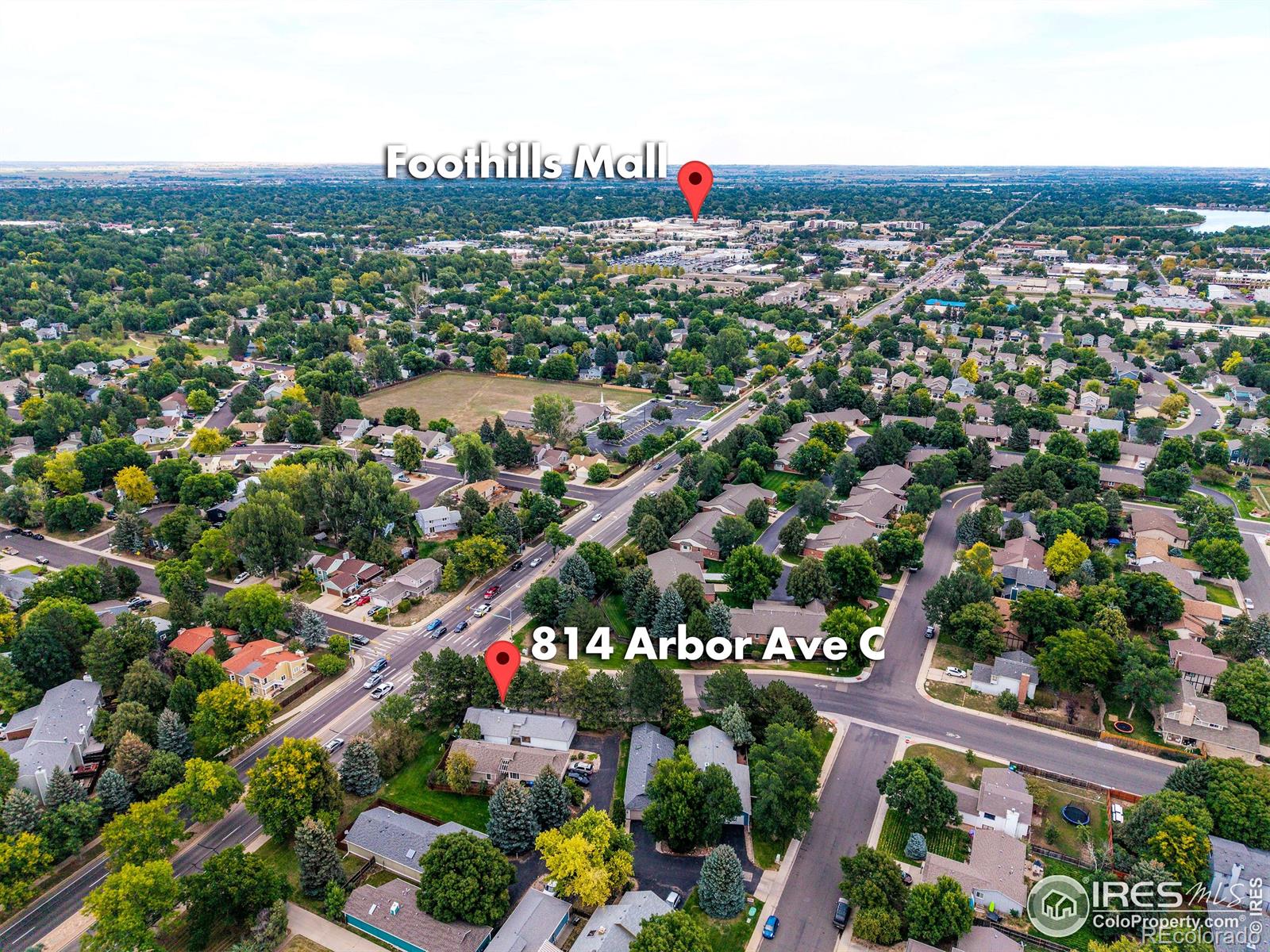 814 Arbor Avenue Fort Collins CO 80526