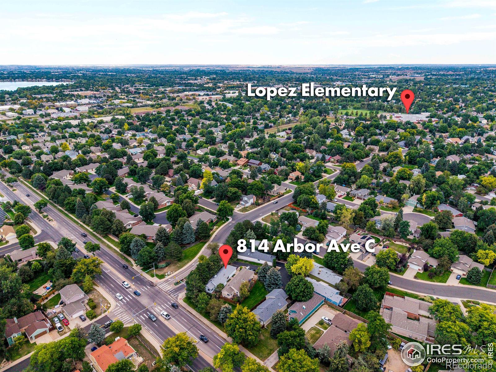 814 Arbor Avenue Fort Collins CO 80526