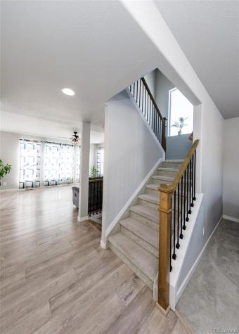 1955 Ruffino Drive Colorado Springs CO 80921