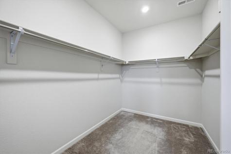 8726 Middle Fork Street Littleton CO 80125
