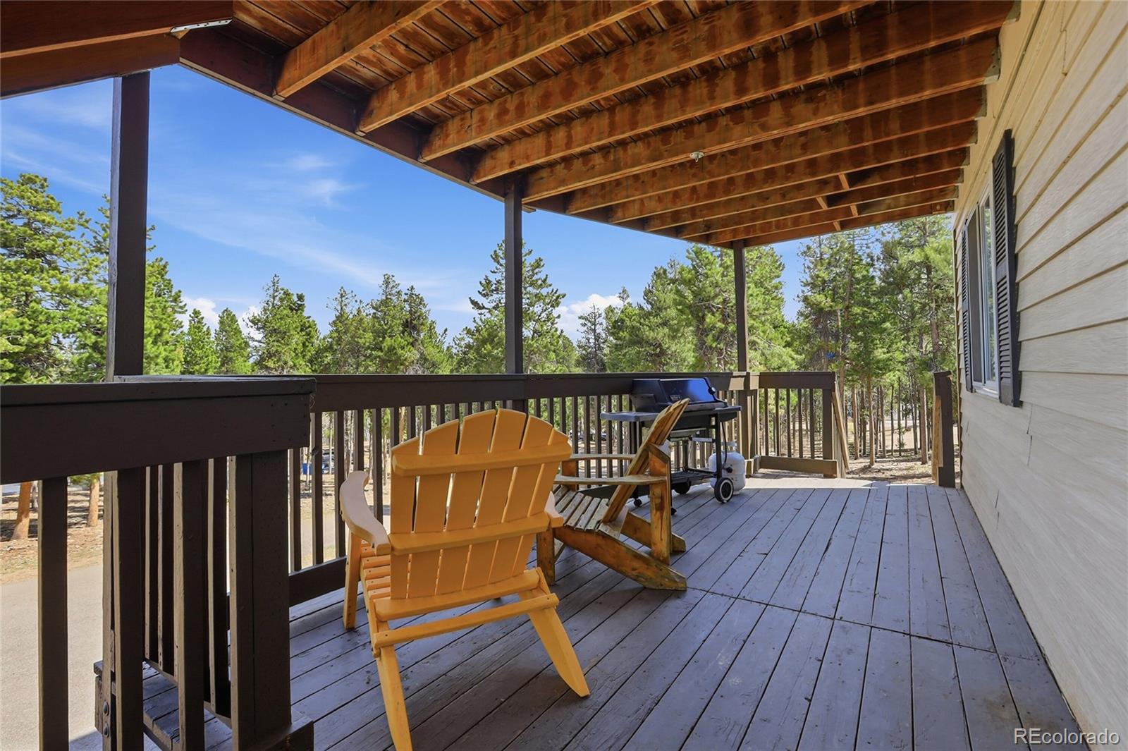 9225 Sandy Lane Conifer CO 80433