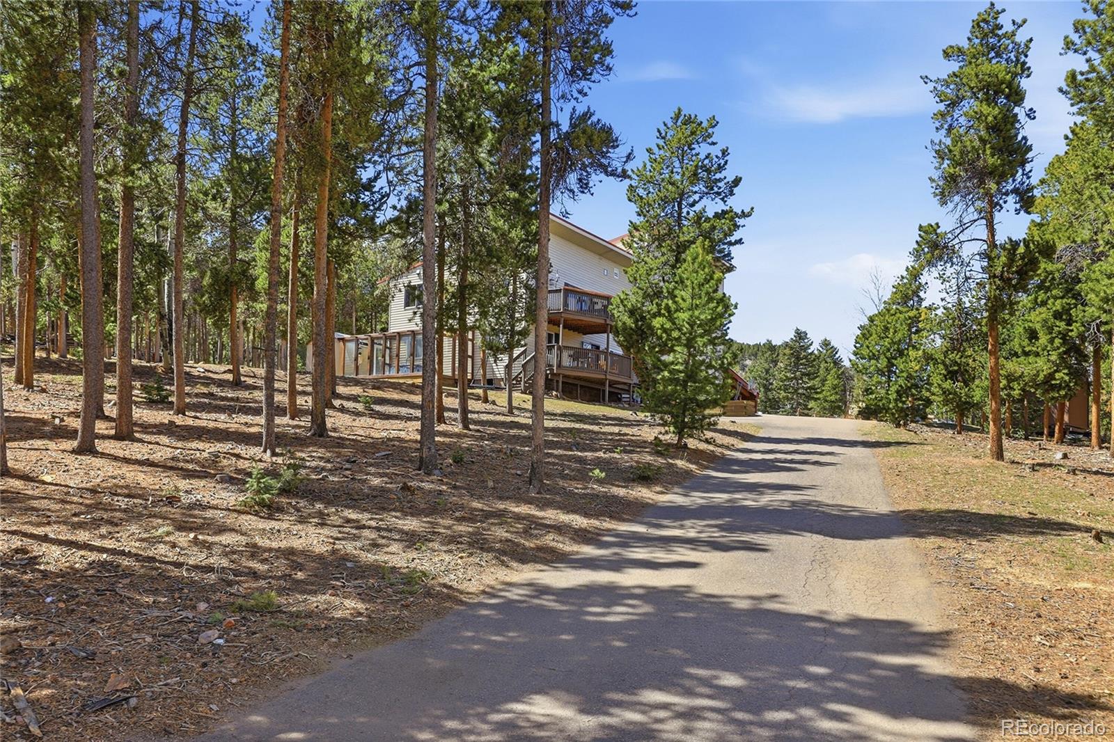 9225 Sandy Lane Conifer CO 80433