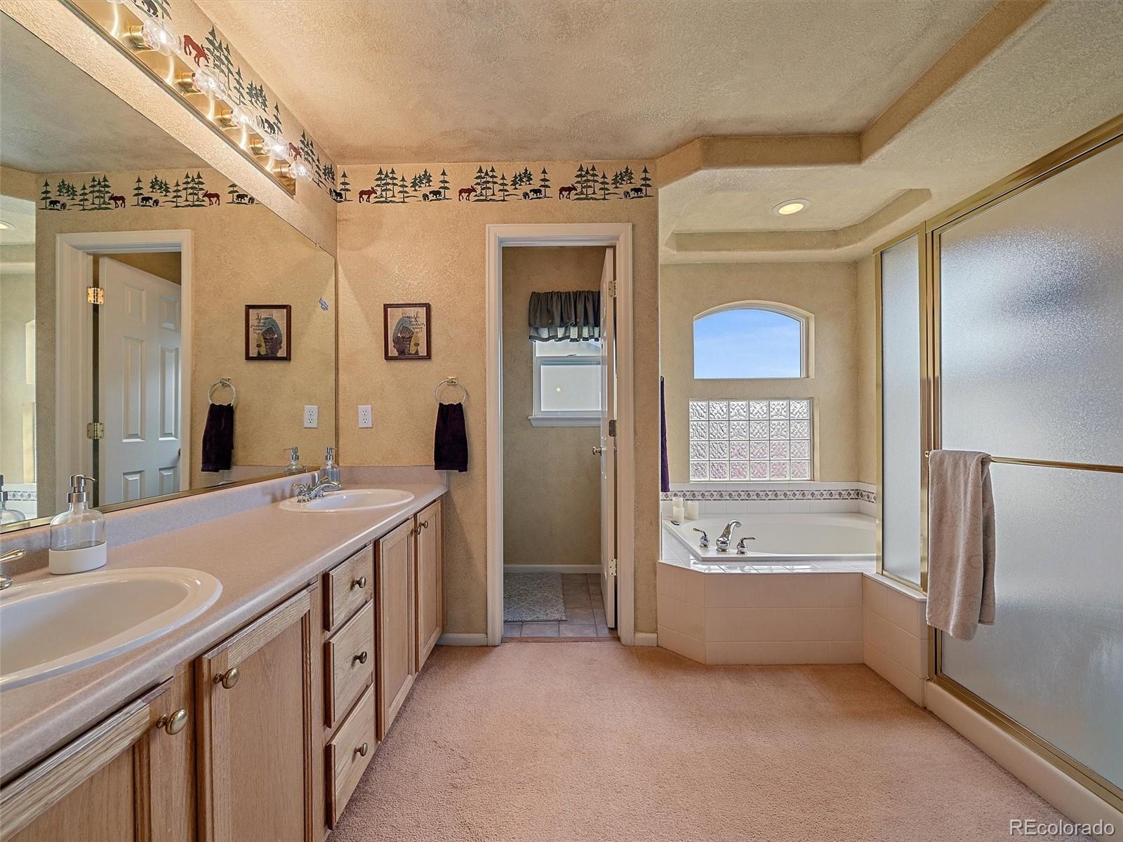 6523 Shannon Trail Highlands Ranch CO 80130