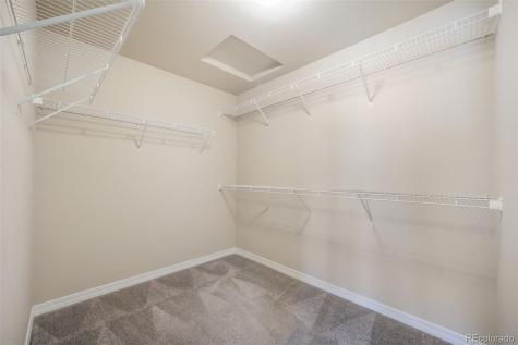 7851 Lathrop View Colorado Springs CO 80924
