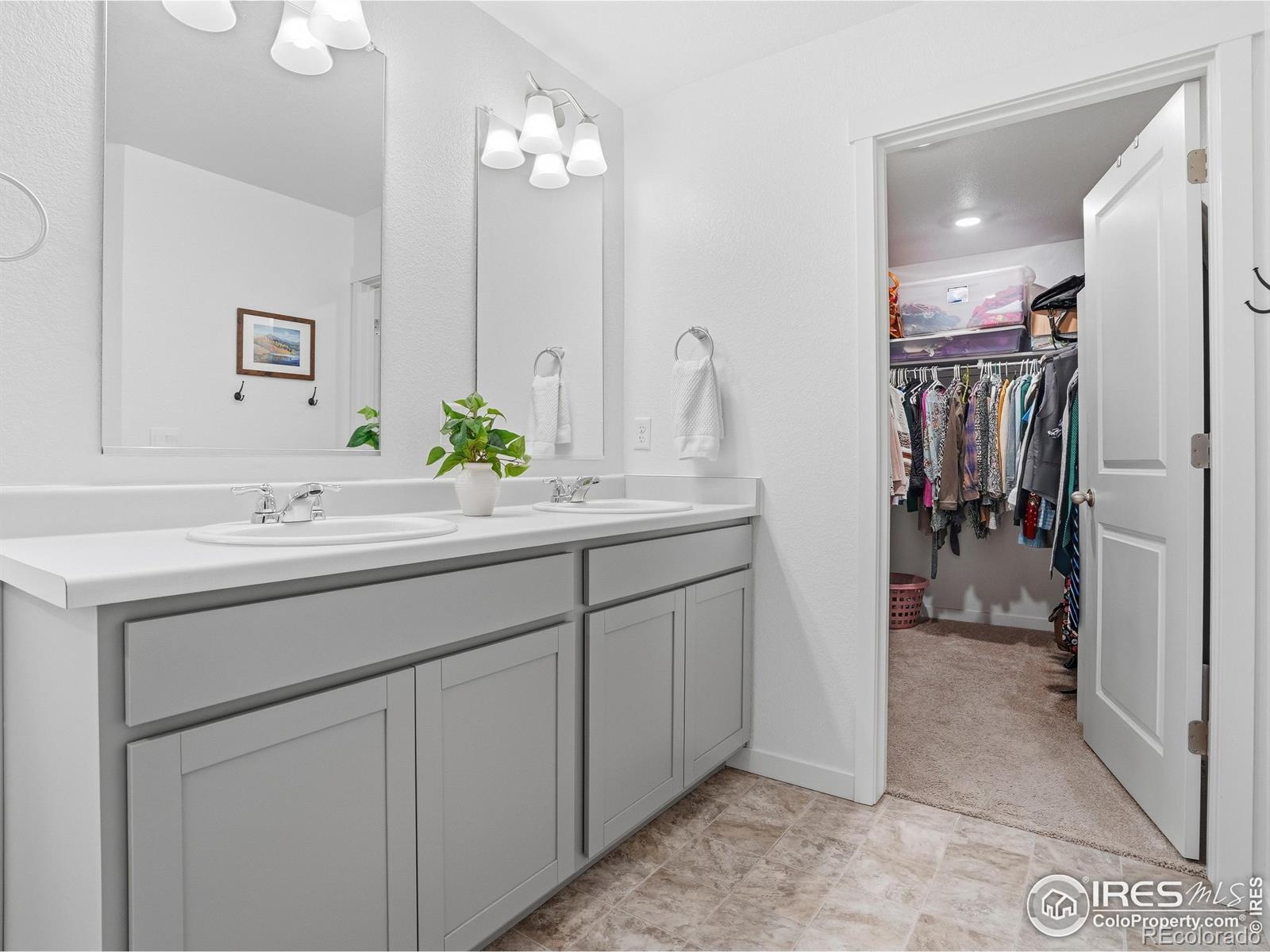 821 Elias Tarn Drive Severance CO 80550
