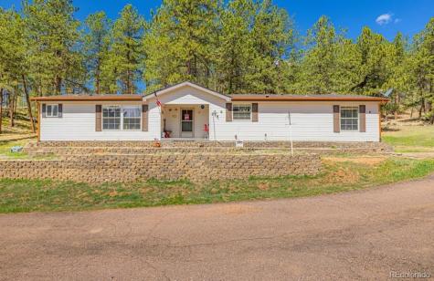 275 Mohave Creek Trail Florissant CO 80816