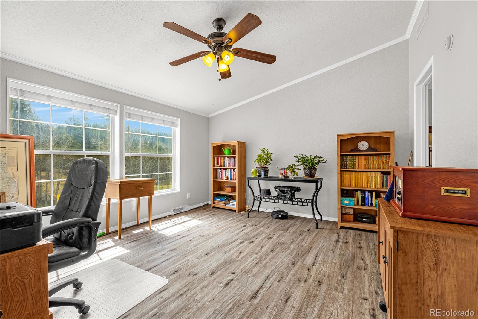 275 Mohave Creek Trail Florissant CO 80816
