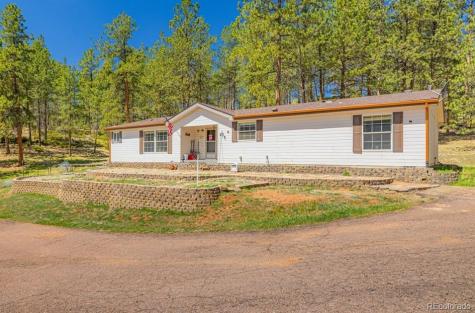 275 Mohave Creek Trail Florissant CO 80816