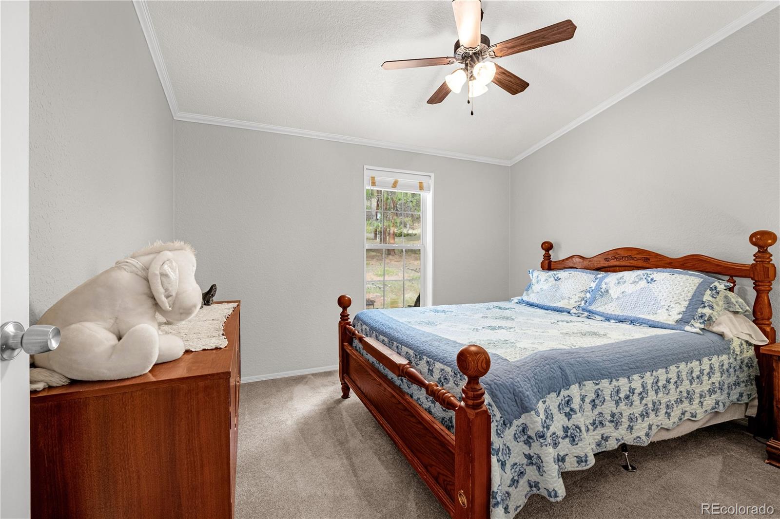 275 Mohave Creek Trail Florissant CO 80816