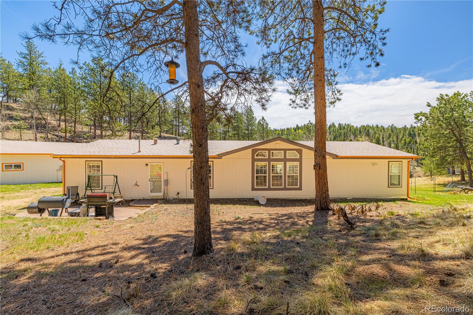 275 Mohave Creek Trail Florissant CO 80816