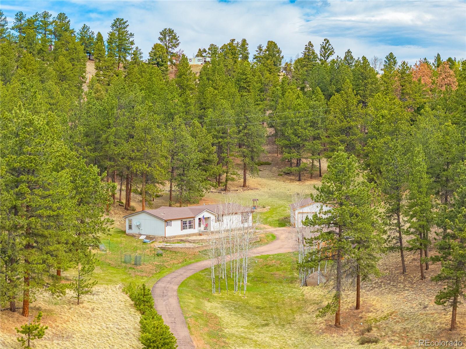 275 Mohave Creek Trail Florissant CO 80816