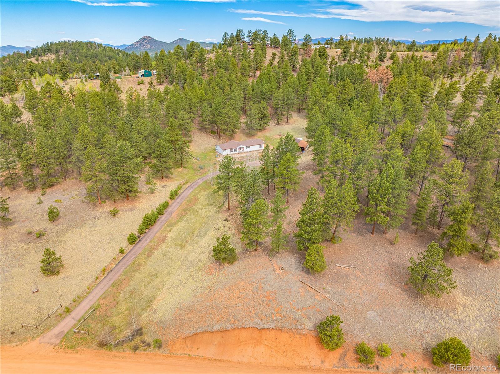 275 Mohave Creek Trail Florissant CO 80816