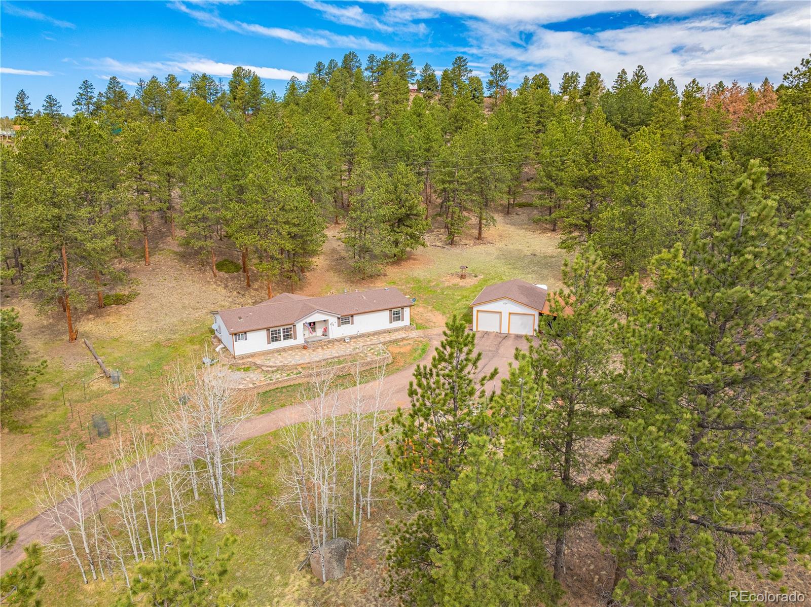 275 Mohave Creek Trail Florissant CO 80816