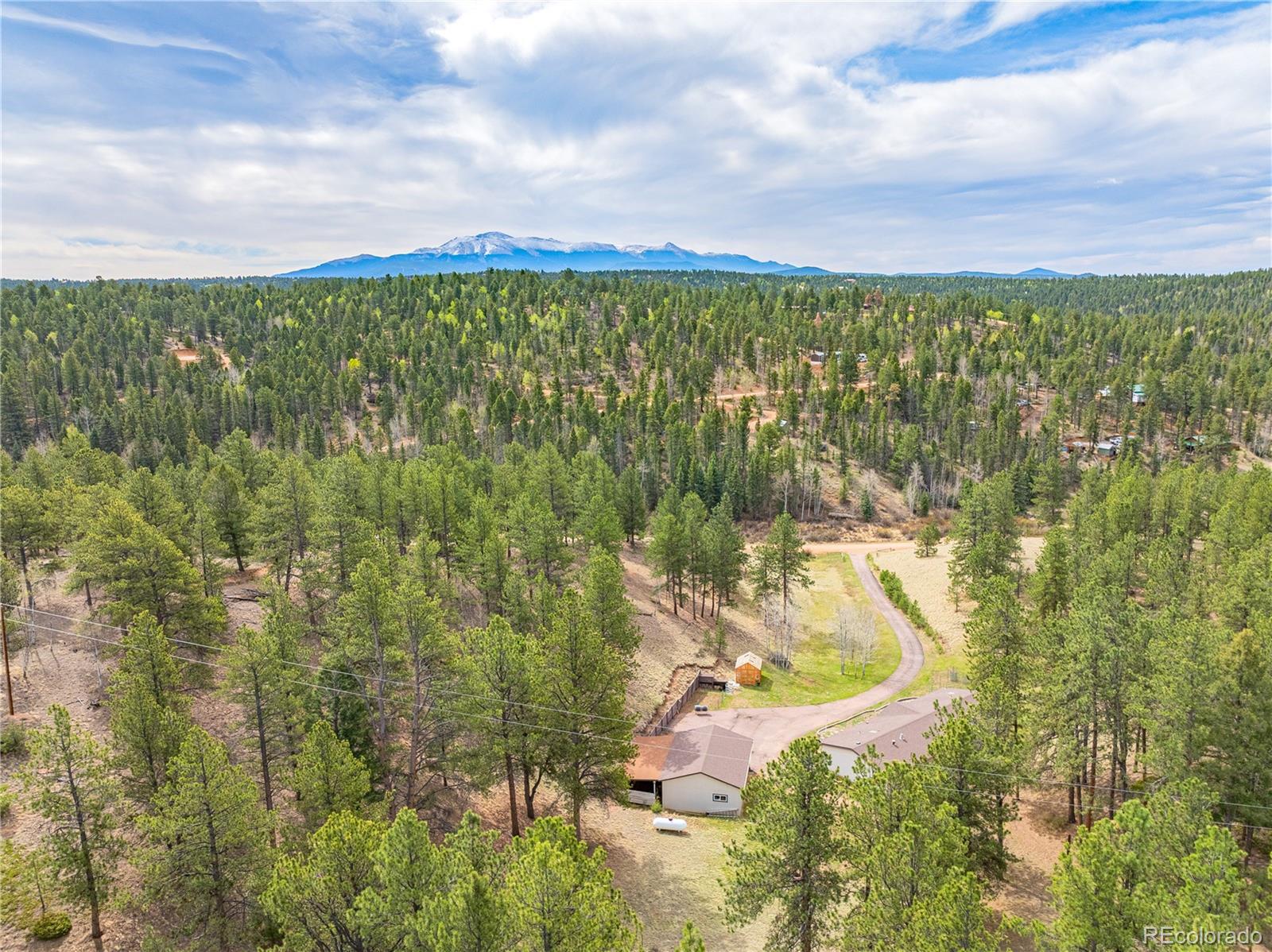 275 Mohave Creek Trail Florissant CO 80816