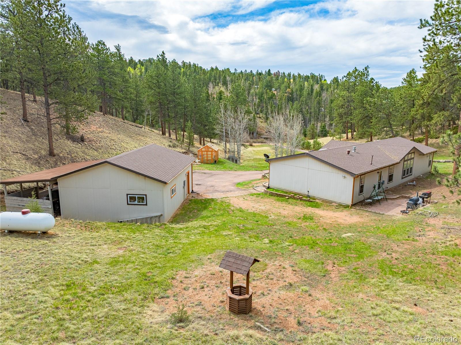275 Mohave Creek Trail Florissant CO 80816