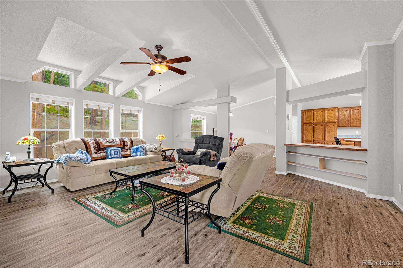275 Mohave Creek Trail Florissant CO 80816