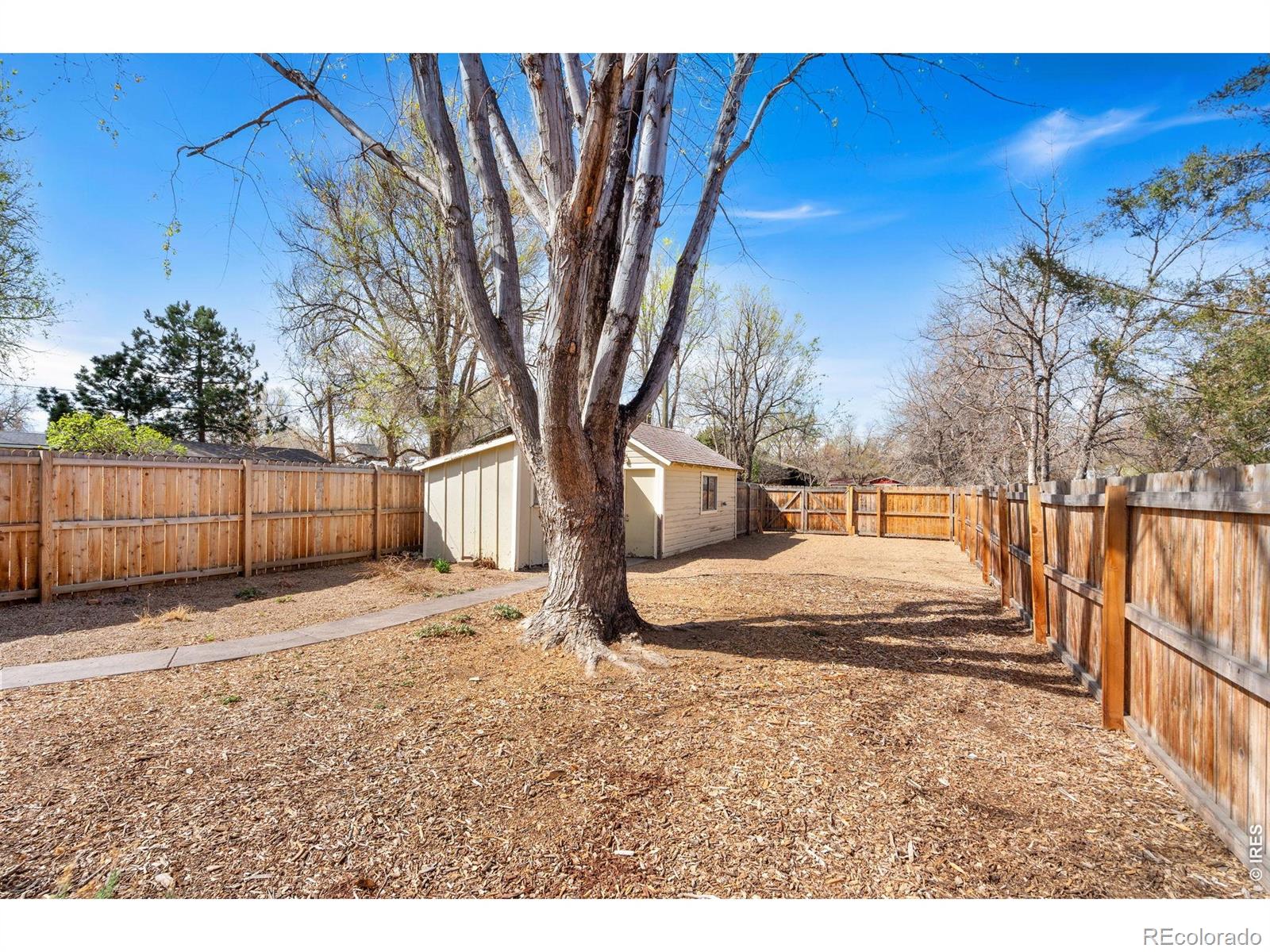 525 N Grant Avenue Fort Collins CO 80521