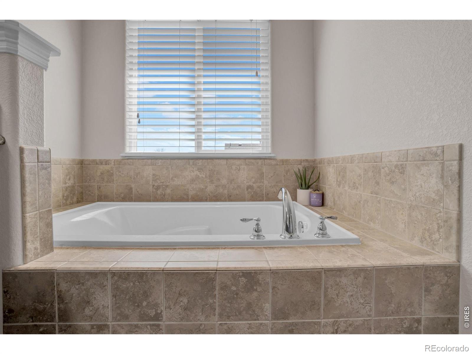 3857 Mount Hope Street Wellington CO 80549