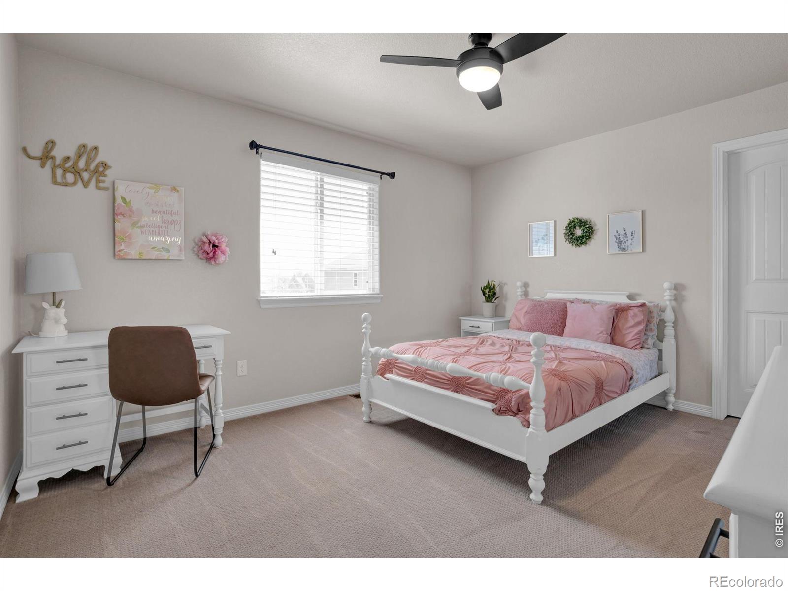 3857 Mount Hope Street Wellington CO 80549