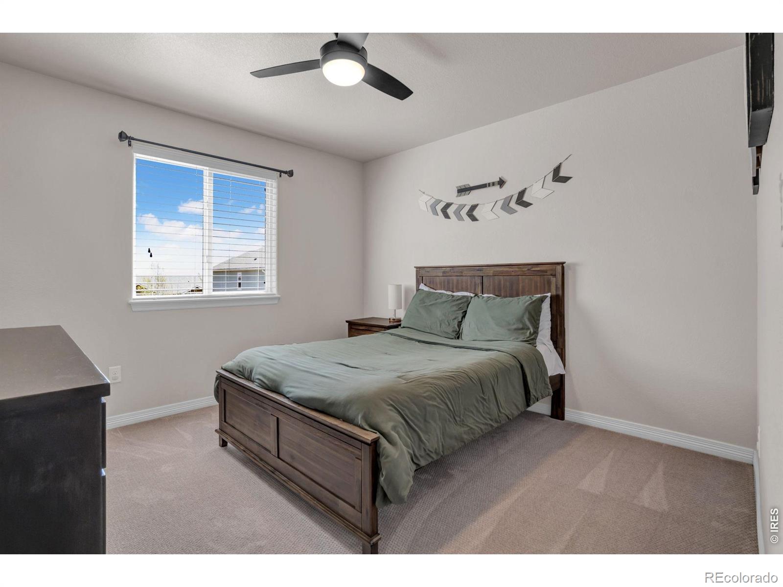 3857 Mount Hope Street Wellington CO 80549