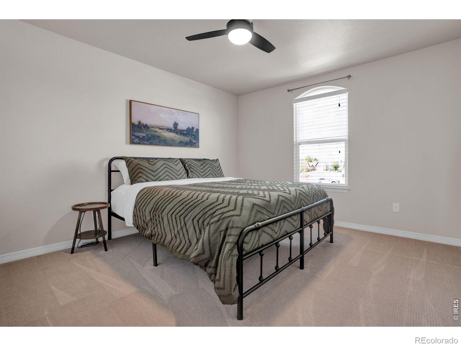 3857 Mount Hope Street Wellington CO 80549