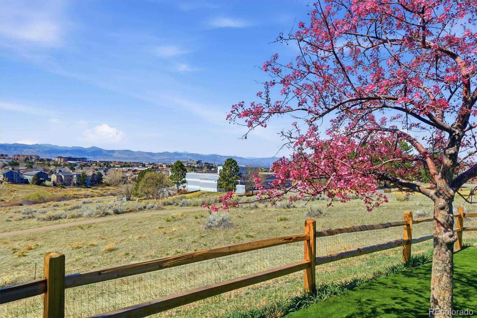 508 Longfellow Lane Highlands Ranch CO 80126