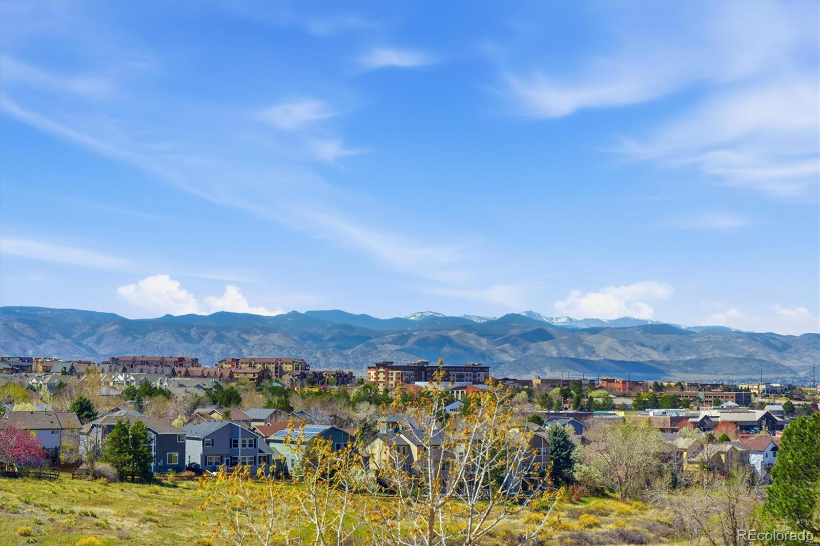 508 Longfellow Lane Highlands Ranch CO 80126