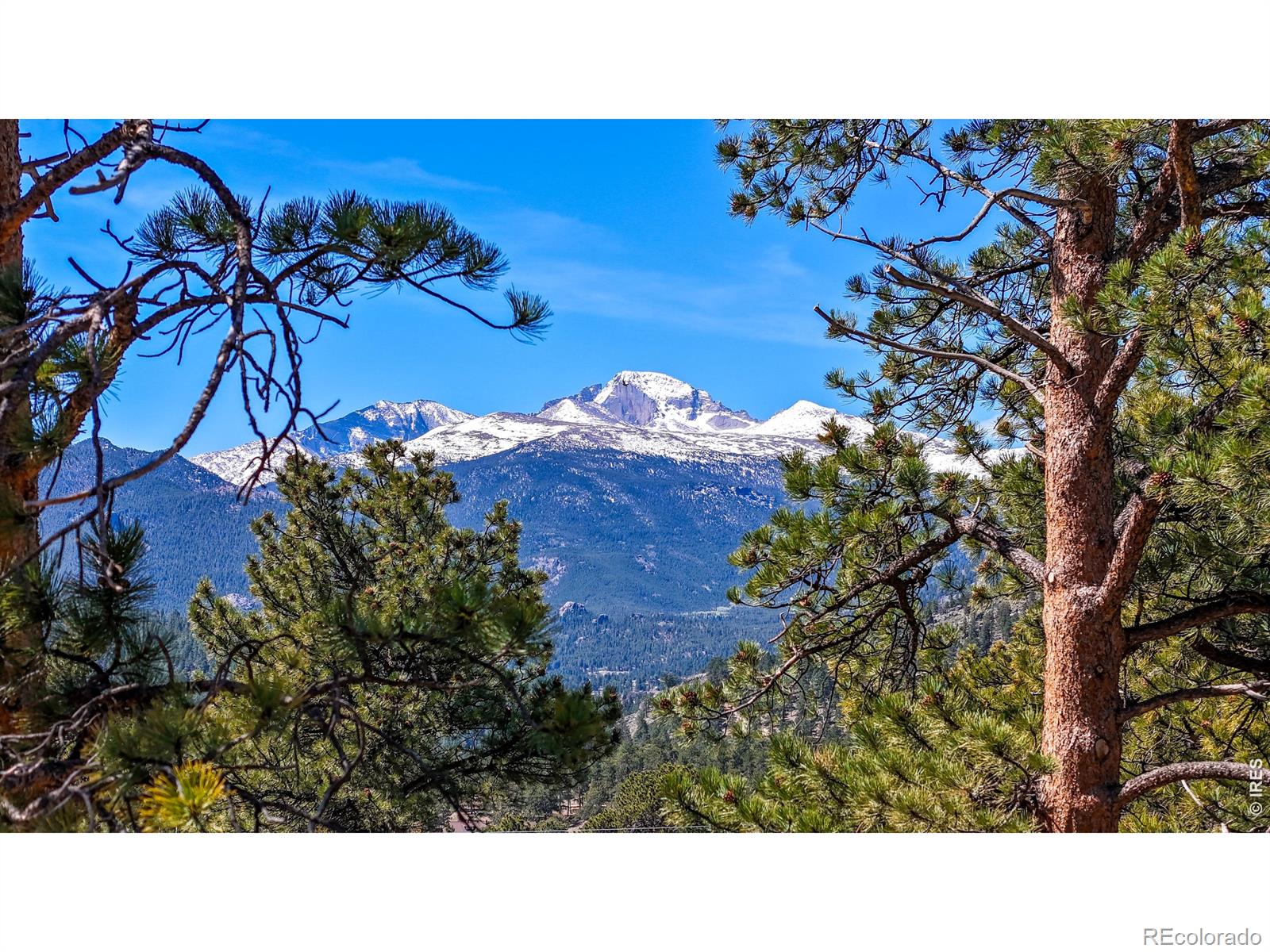 710 Tanager Road Estes Park CO 80517