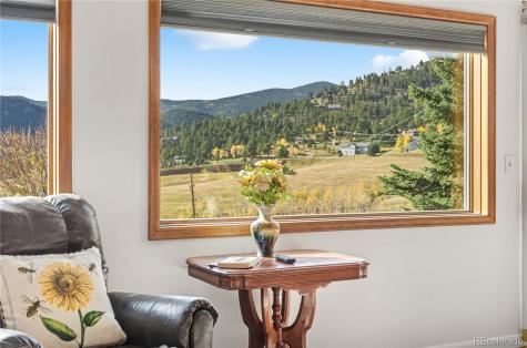 56 Floyd Hill Way Evergreen CO 80439
