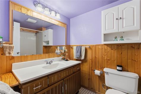 56 Floyd Hill Way Evergreen CO 80439