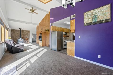 56 Floyd Hill Way Evergreen CO 80439