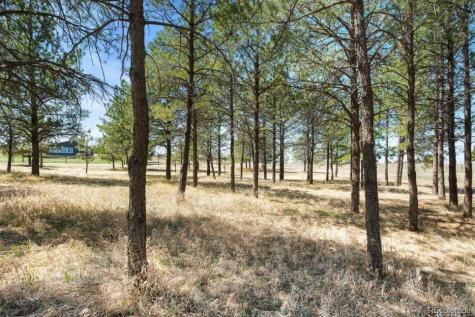 12346 Piney Lake Road Parker CO 80138