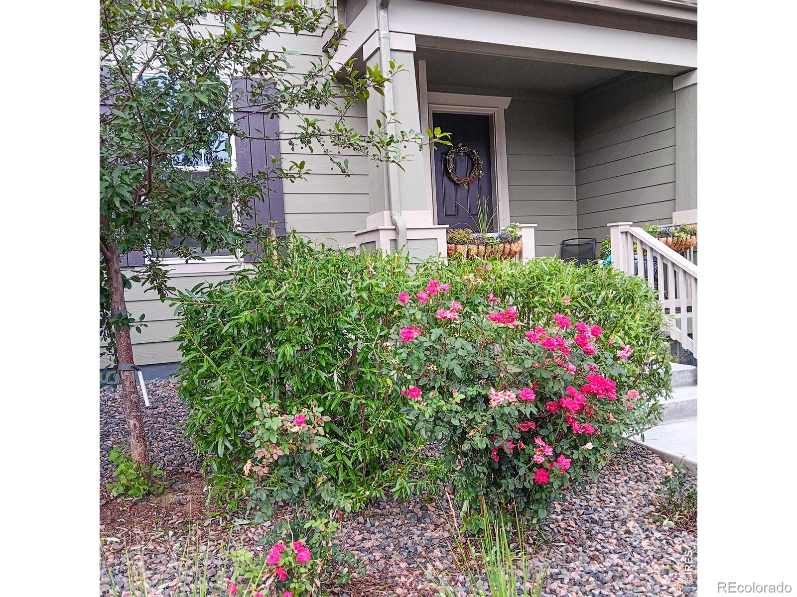 1154 Anker Drive Erie CO 80516
