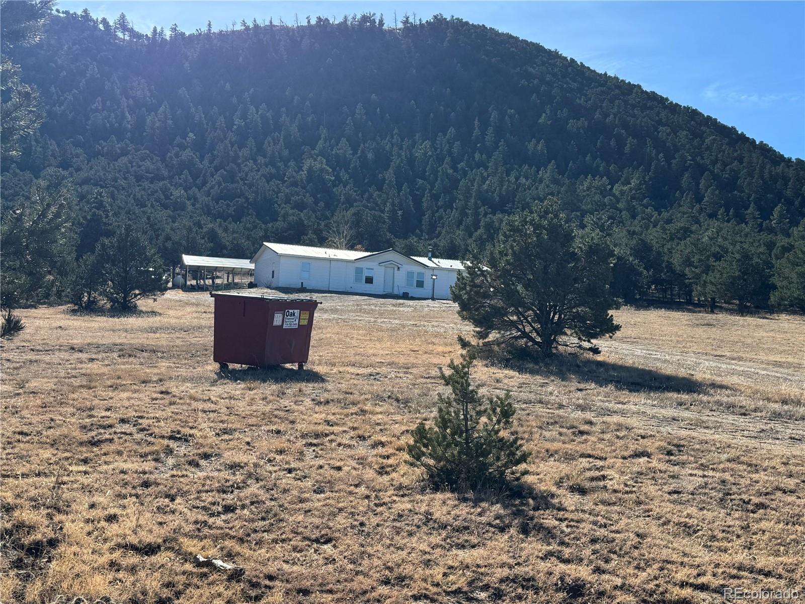 474 Deer Run Drive Cotopaxi CO 81223